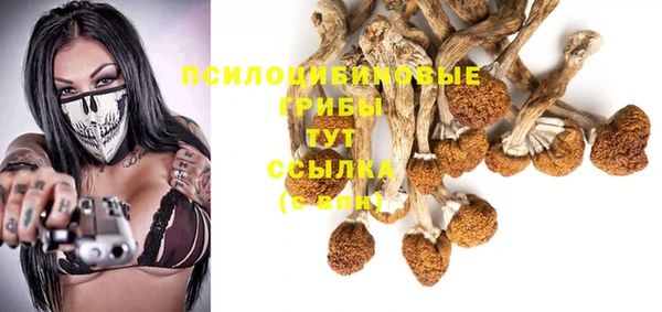 герыч Абинск