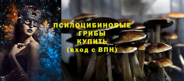 герыч Абинск