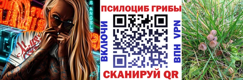 цены   МЕГА ссылки  Галлюциногенные грибы мицелий  Миллерово 
